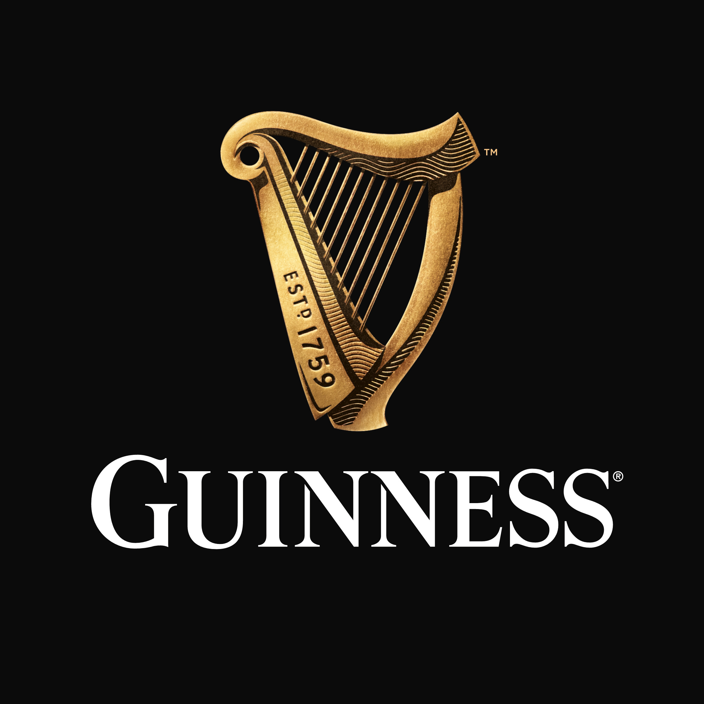 Guinness Irish Draught 30 l Fass