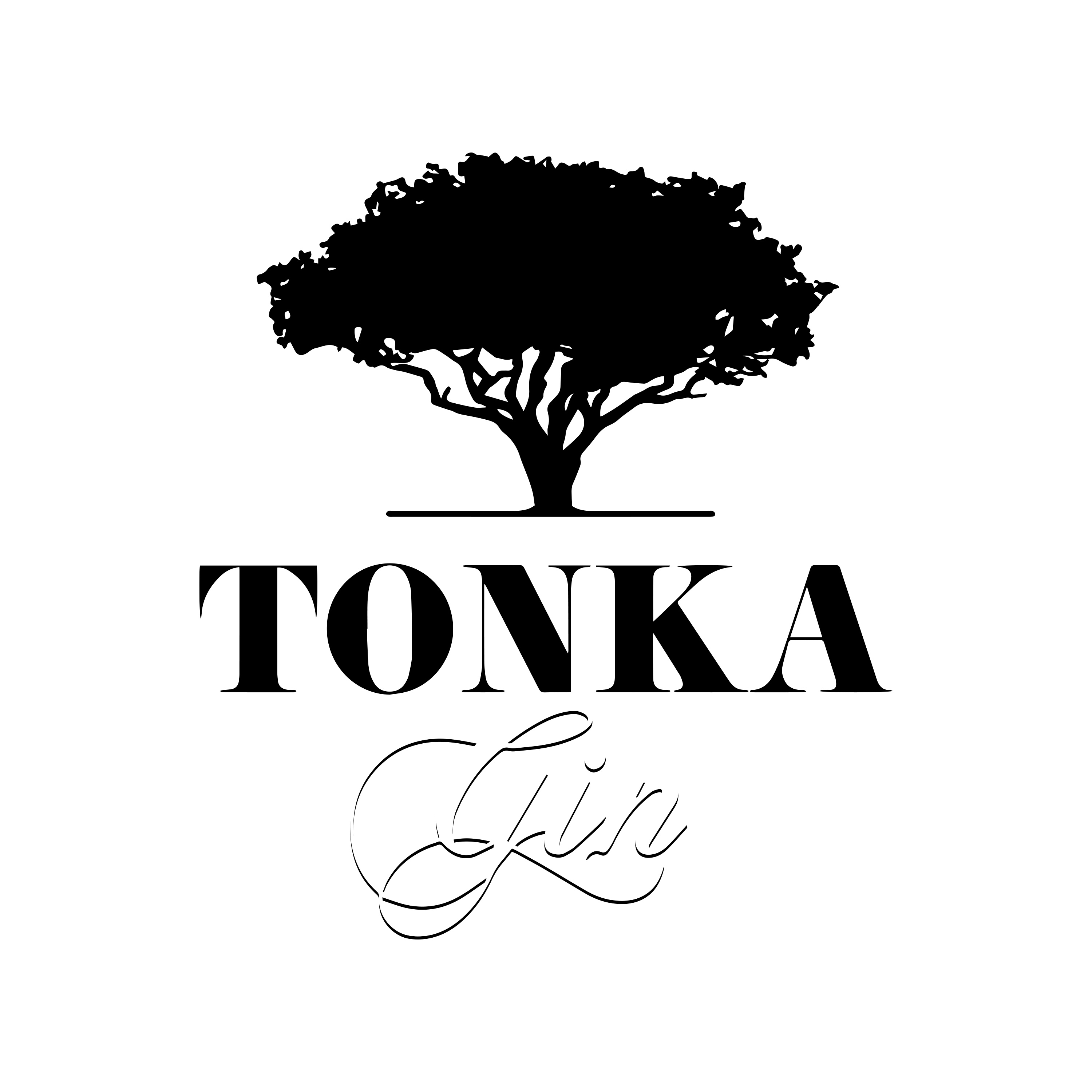 Tonka Gin 47% Vol.