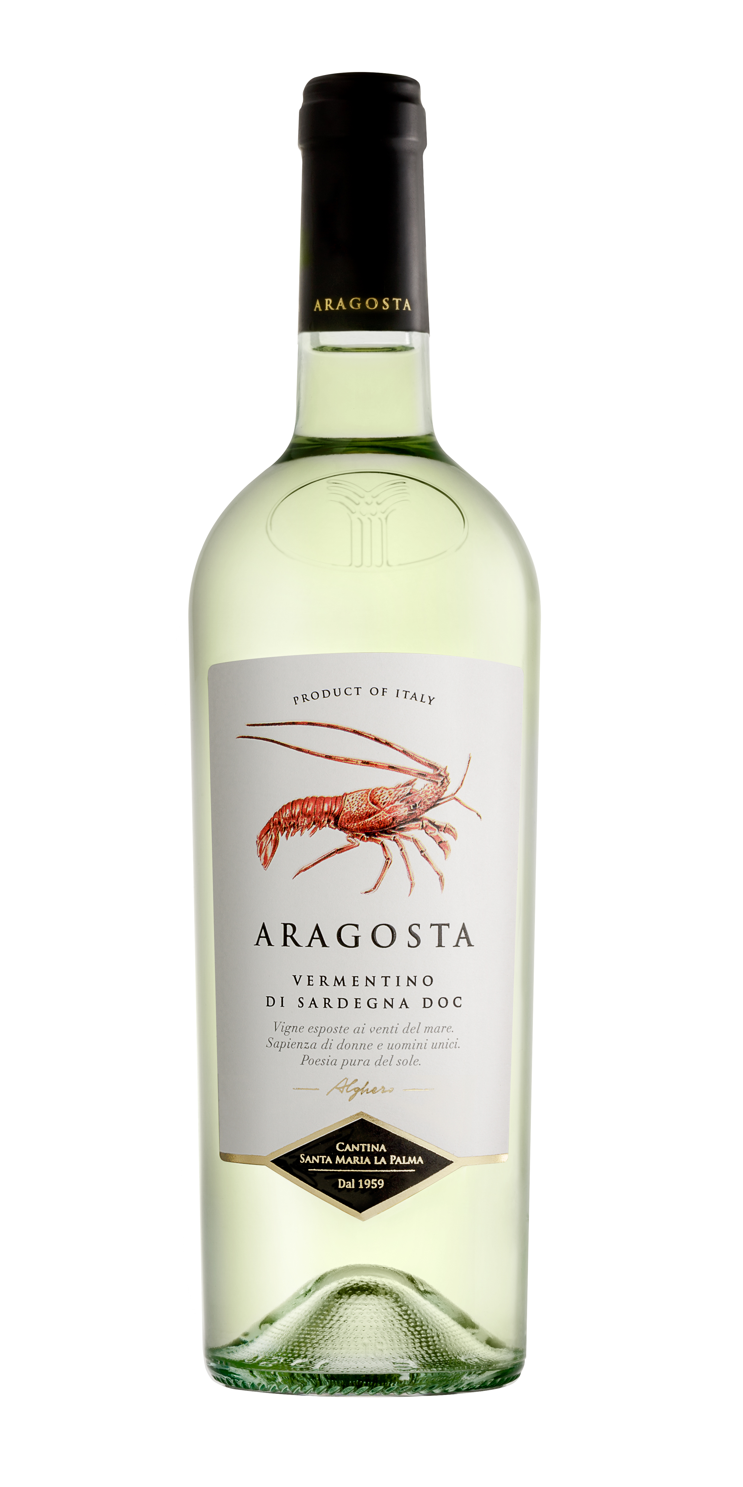 Aragosta Vermentino DOC Santa Maria La Palma Sardinien Aragosta Vermentino DOC Santa Maria La Palma Sardinien
